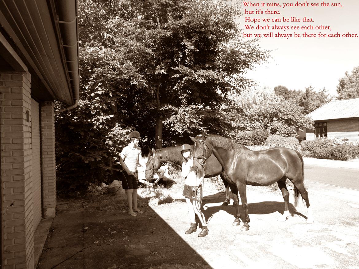 Anden særlig race Miss Shadow billede 13