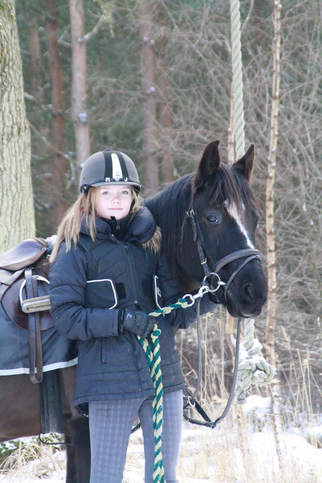 Svensk Sportspony  Blackie Brown :) - vi er det bedste par<3 foto (far) billede 16