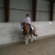 DSP Burton´s Baya<3