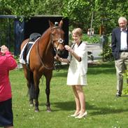 New Forest Nicole (SOLGT)