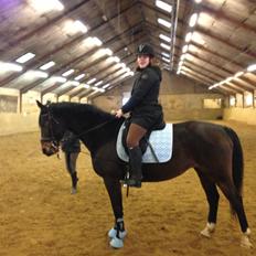 Anden særlig race prinsessé Nikita min baby <3