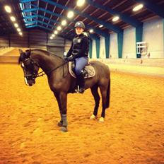 New Forest Vognmandsgården Tordenskjold