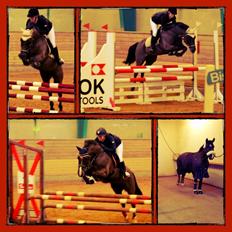 New Forest Vognmandsgården Tordenskjold