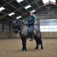 Islænder Askjör fra Lyskjær [Mit kæreste eje]