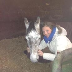 Holstener Cannoiers choice