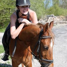 Anden særlig race Piccolo