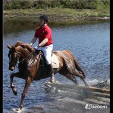 Fuldblod (XX) Red Lightning.