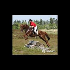 Fuldblod (XX) Red Lightning.