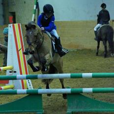 Irsk Sportspony Munsboro Cross