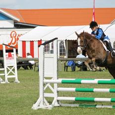Anden særlig race FH. Pegasus