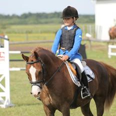Anden særlig race FH. Pegasus