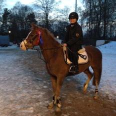 Anden særlig race FH. Pegasus