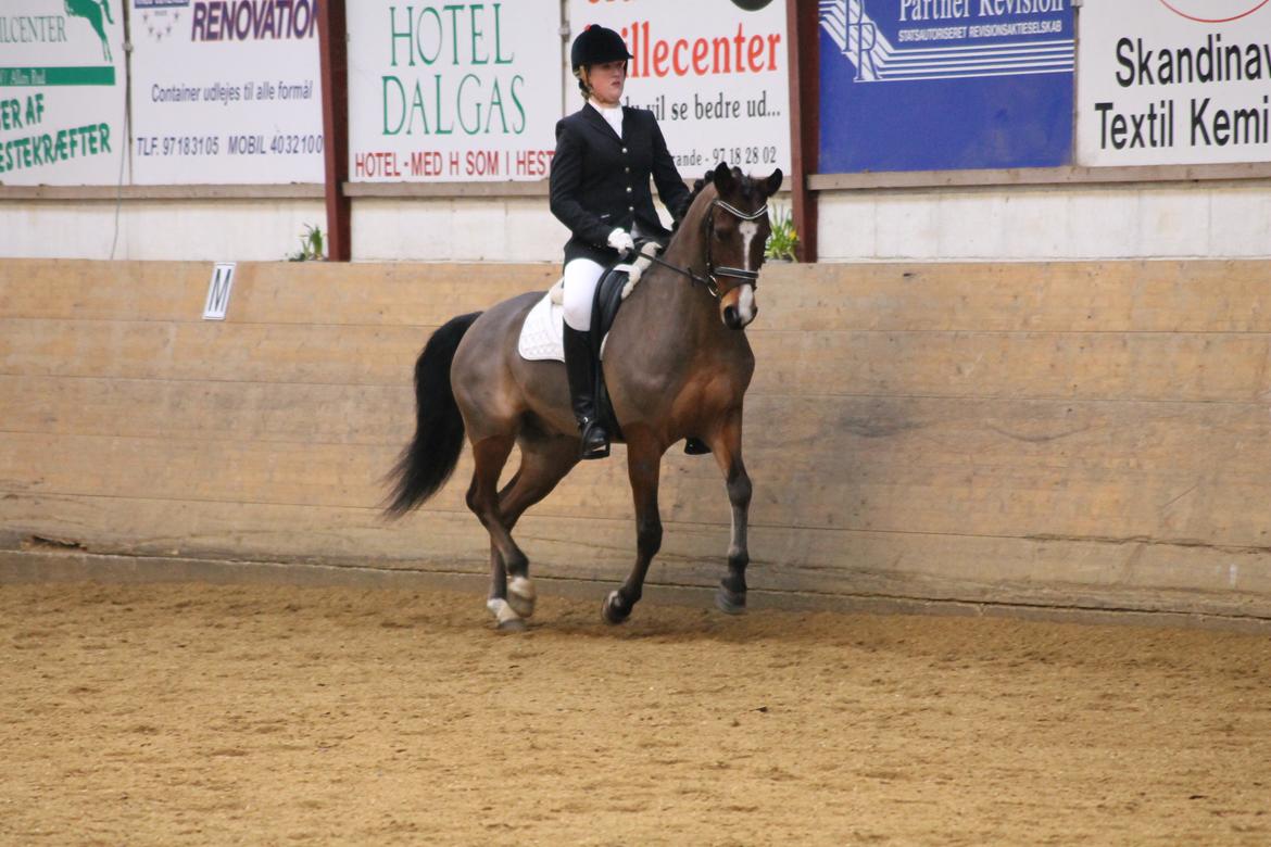 DSP Fontaine billede 19