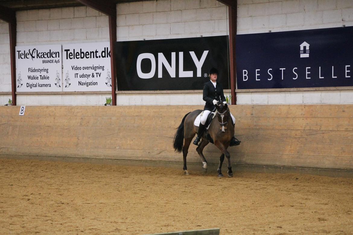 DSP Fontaine billede 20