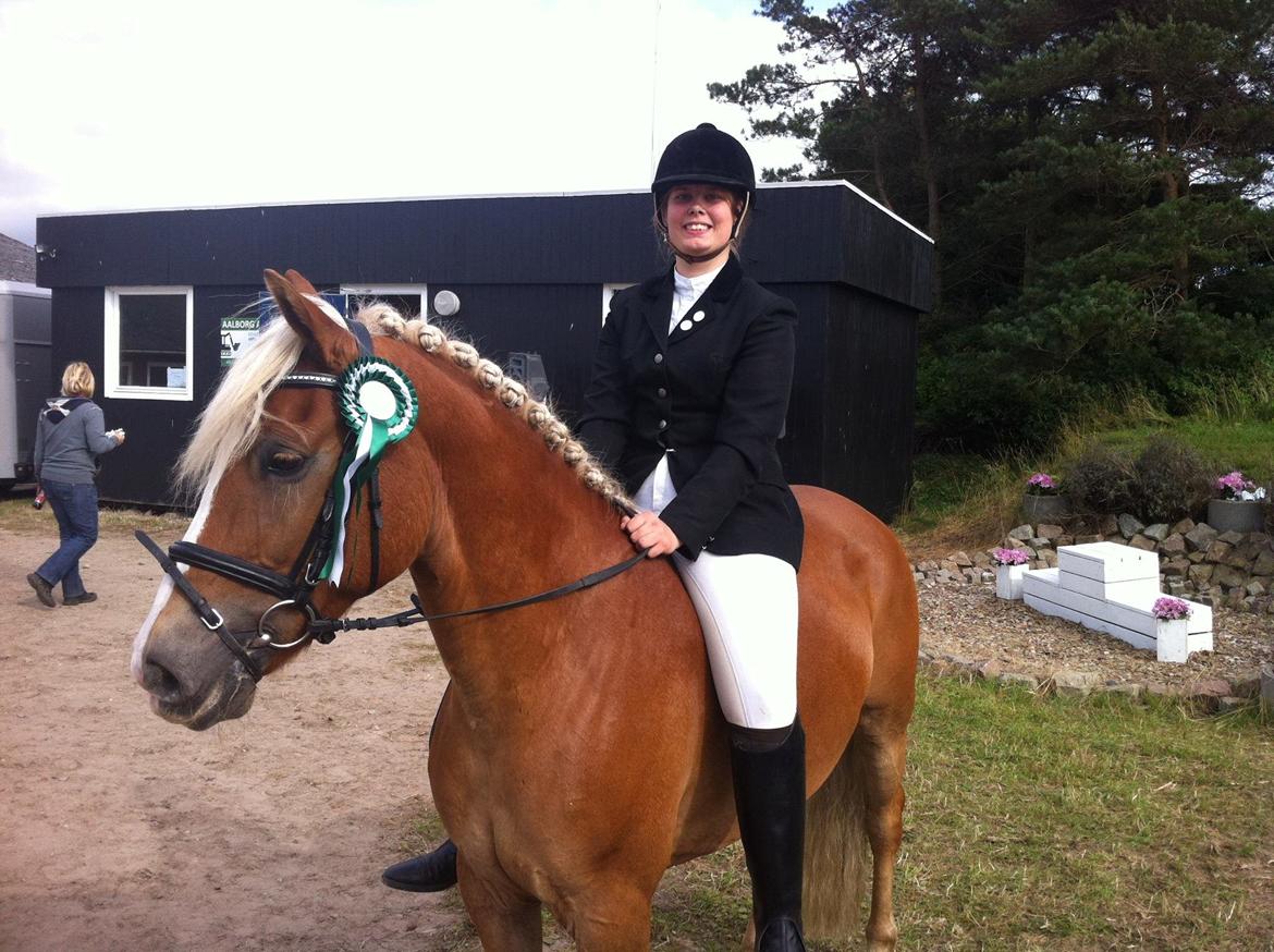 Haflinger PEGASUS - Nibe cup 2012 <3 samlet 1 point til nummer 2 <3 billede 18