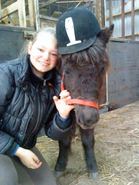 Shetlænder valentin billede 7