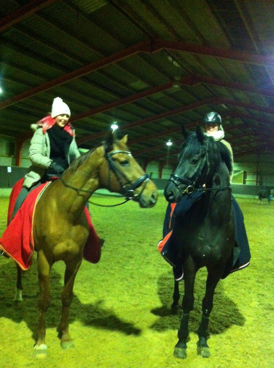 Branderburger Santero billede 16