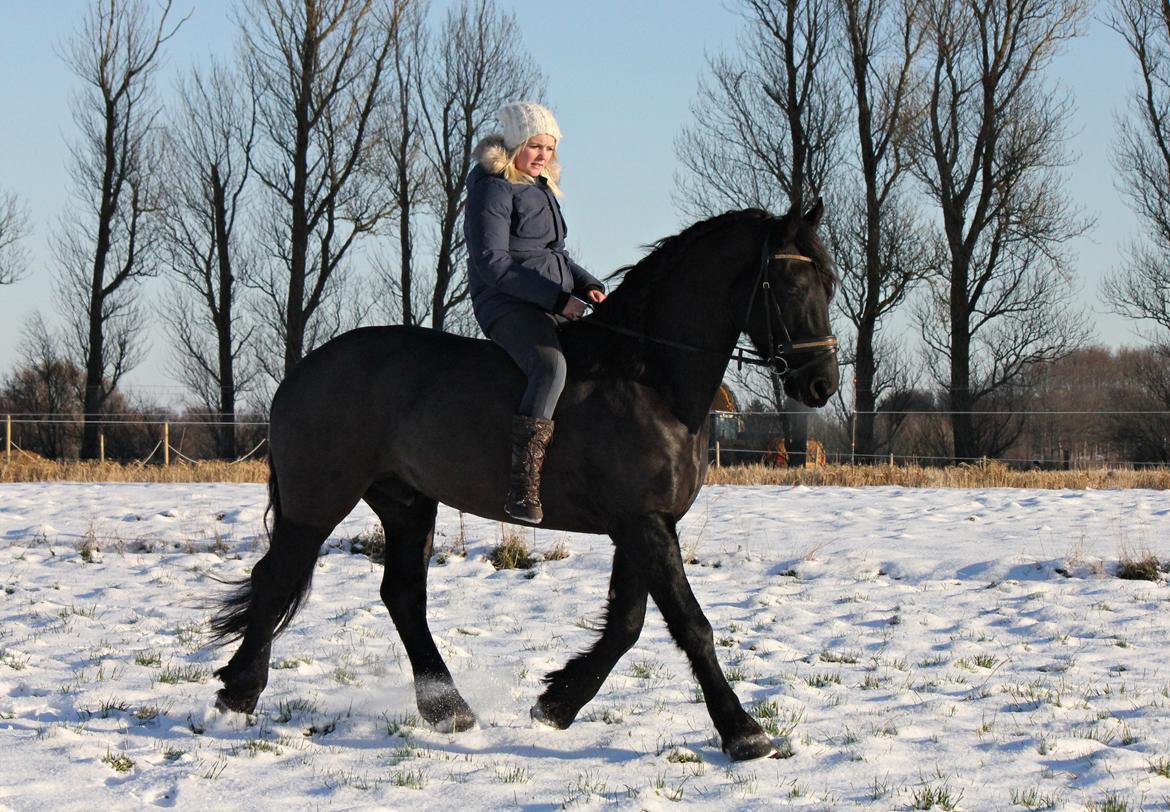 Frieser Zafir * Den bedste*<3 billede 17
