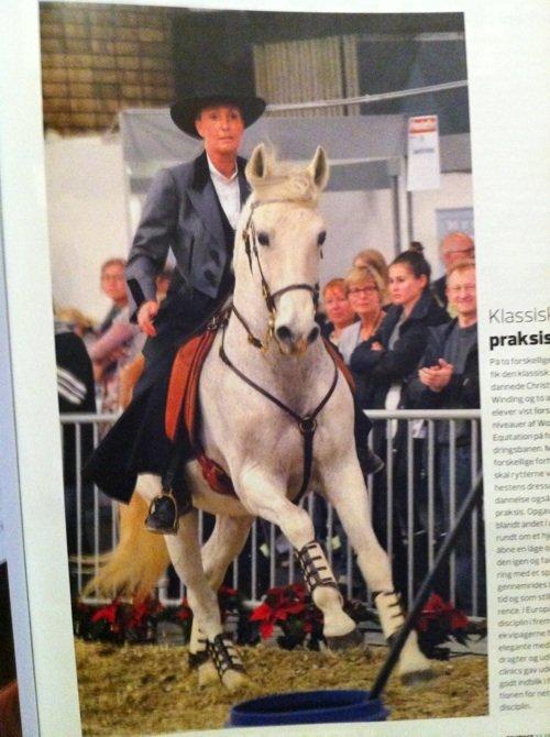 Lusitano Ninito - Hestemessen hillerød nov.2011 WE-bane billede 2
