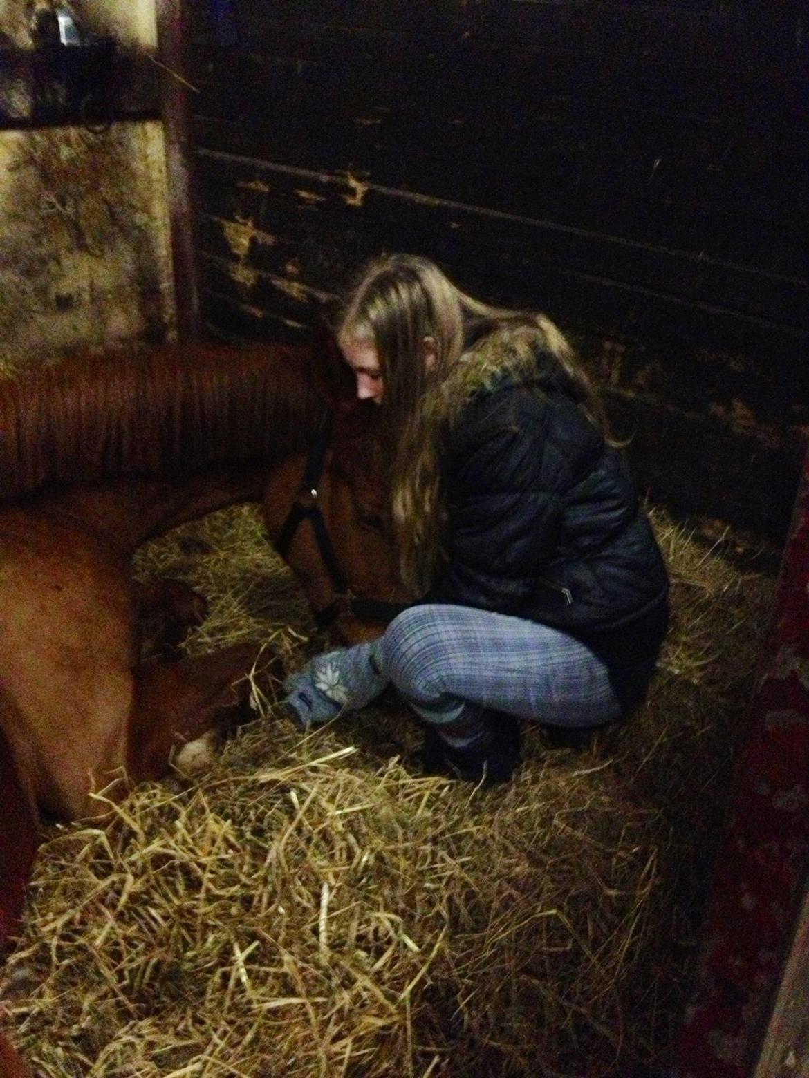 Anden særlig race Ratata <3 - hygger i boksen<3 billede 5