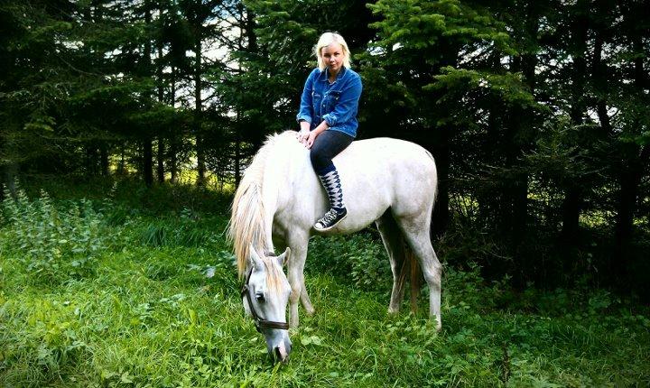 Arabisk fuldblod (OX) Ghadir Ibn Jayyid - Sommer 2011 billede 7