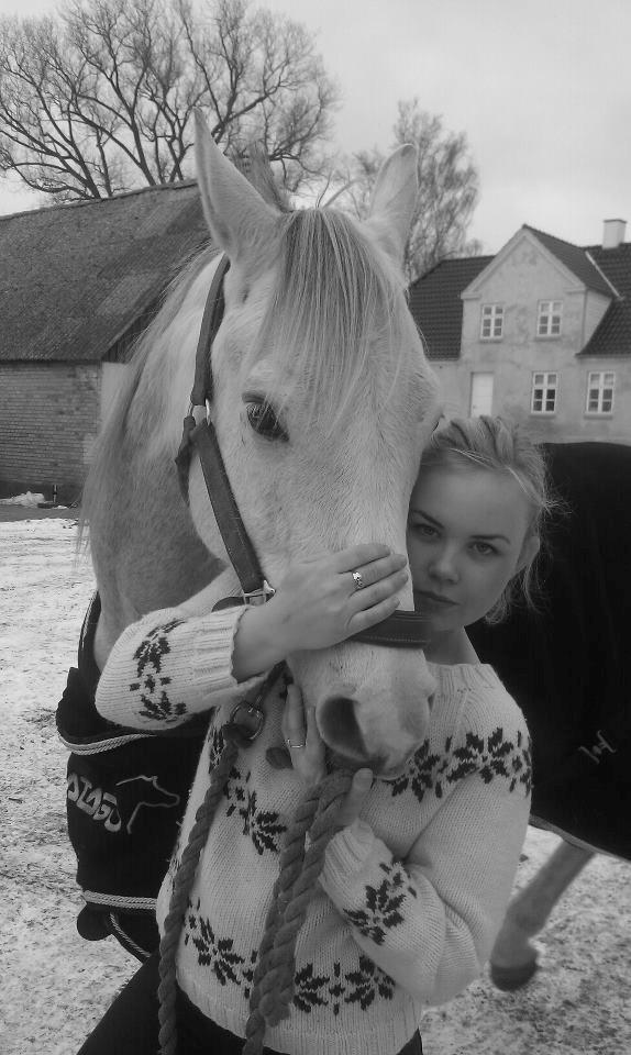 Arabisk fuldblod (OX) Ghadir Ibn Jayyid - Januar 2012 billede 8