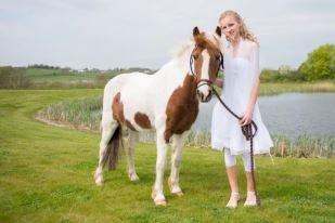 Pinto Just Jumping Oliver *Solgt billede 15