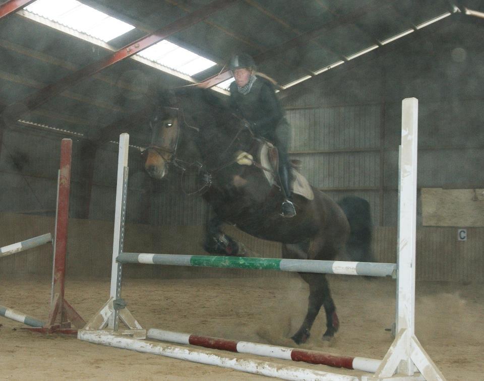 Zangersheide D. Chriesafie Z - Springning d. 24/2-13. 75 cm, det højeste jeg endnu har sprunget ;) Beklager kvaliteten, taget i støvet ridehal billede 5