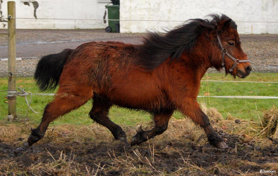 Miniature Bella La Princesa Pequeña billede 37