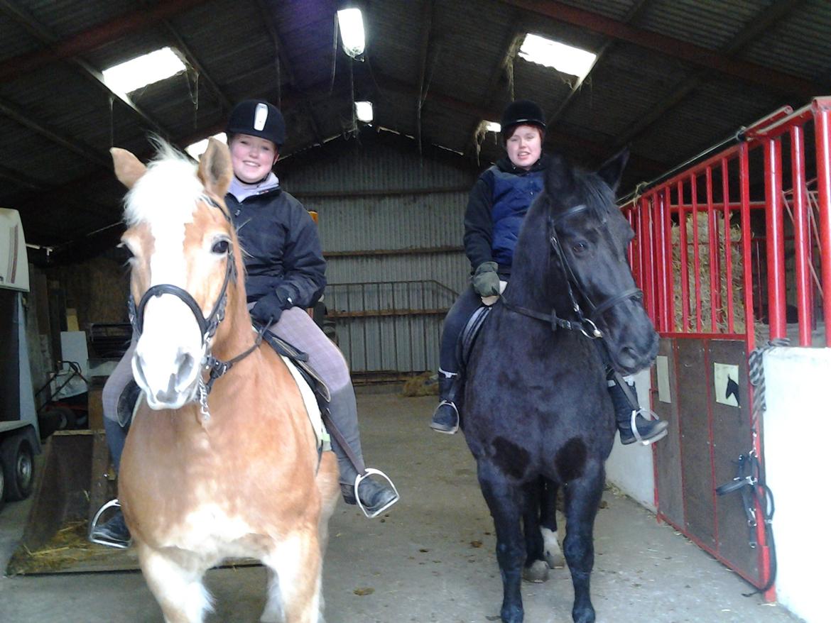 Haflinger Stald Gammel Lys' Ayla - Mig på Ayla, og min storesøster på Pomkin inden vi red på tur :)  billede 18