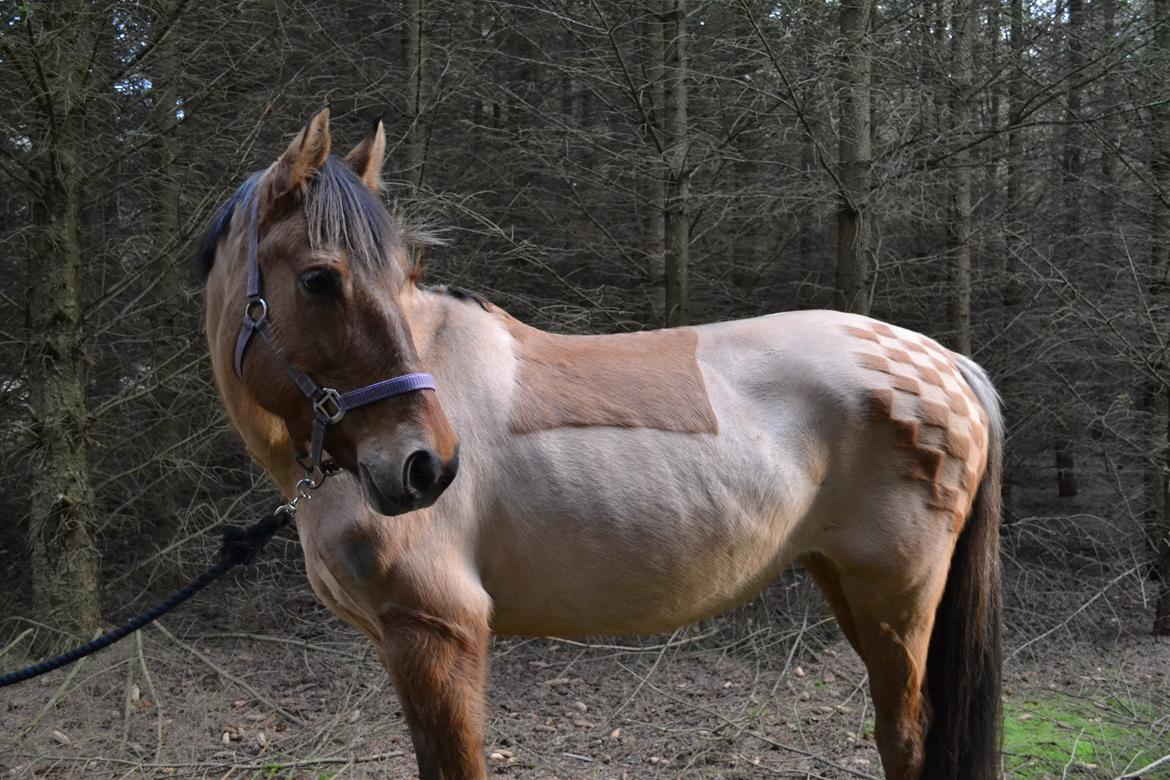 Anden særlig race lady<3 billede 10