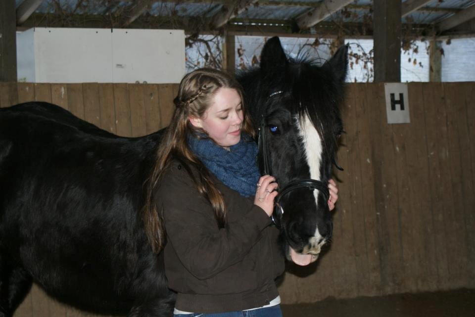 Irish Cob Sir Tonga - Your the light in my eyes Foto: Natalie Lunde billede 10