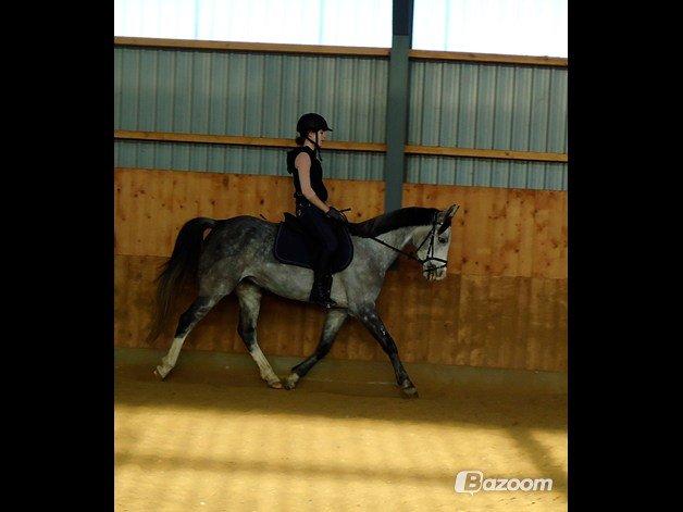 Sportsaraber (A) Gomez - De er så seje sammen!<3 billede 15