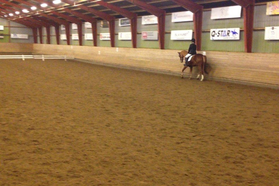 Anden særlig race Ratata <3 billede 13