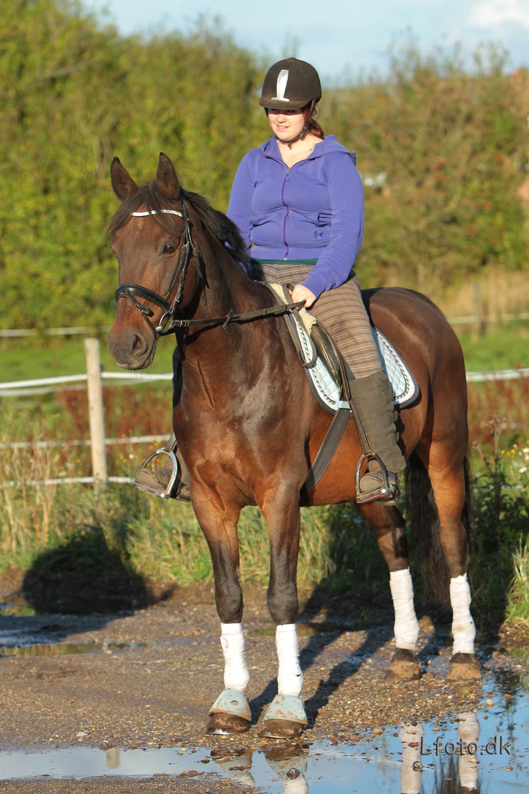 Anden særlig race Prins<3 billede 13