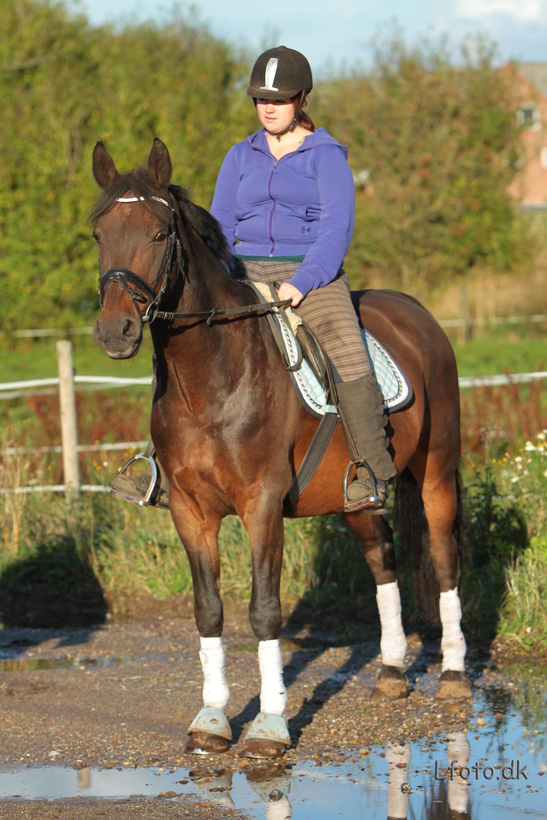 Anden særlig race Prins<3 billede 14