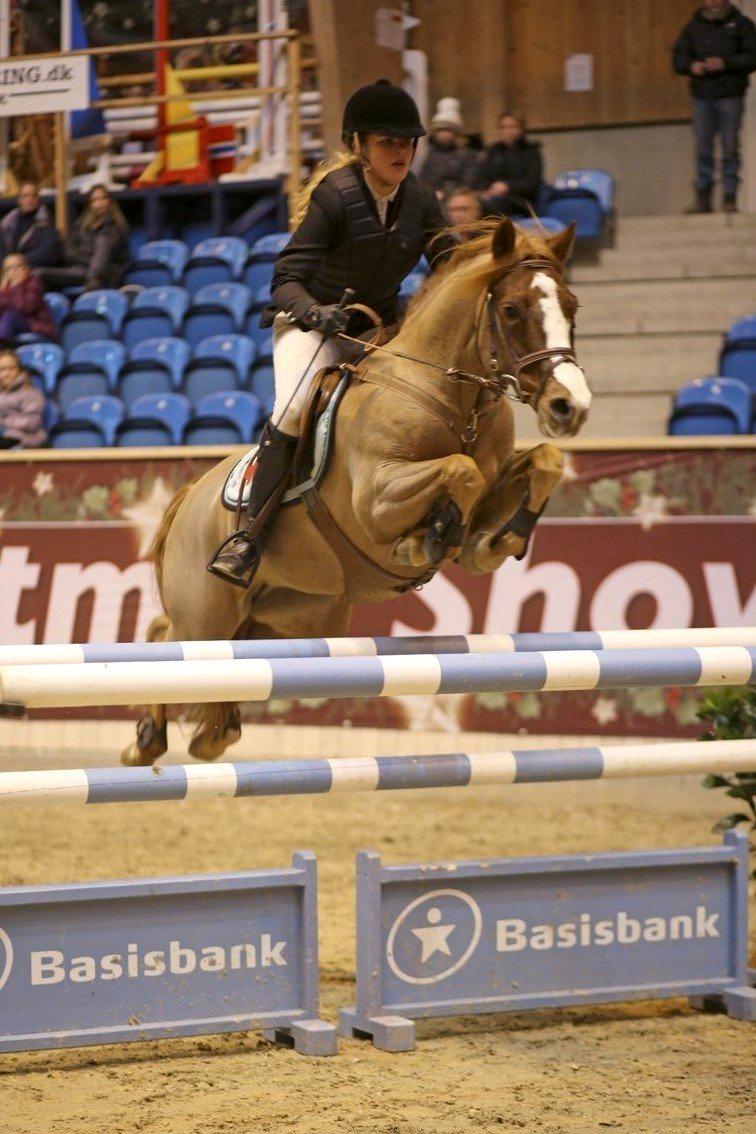 Connemara Enghøjs Red Scarlet A-pony - Scarlet i Grand Prix, S2**, 120 cm ved Baltic cup finalen 2012 billede 14