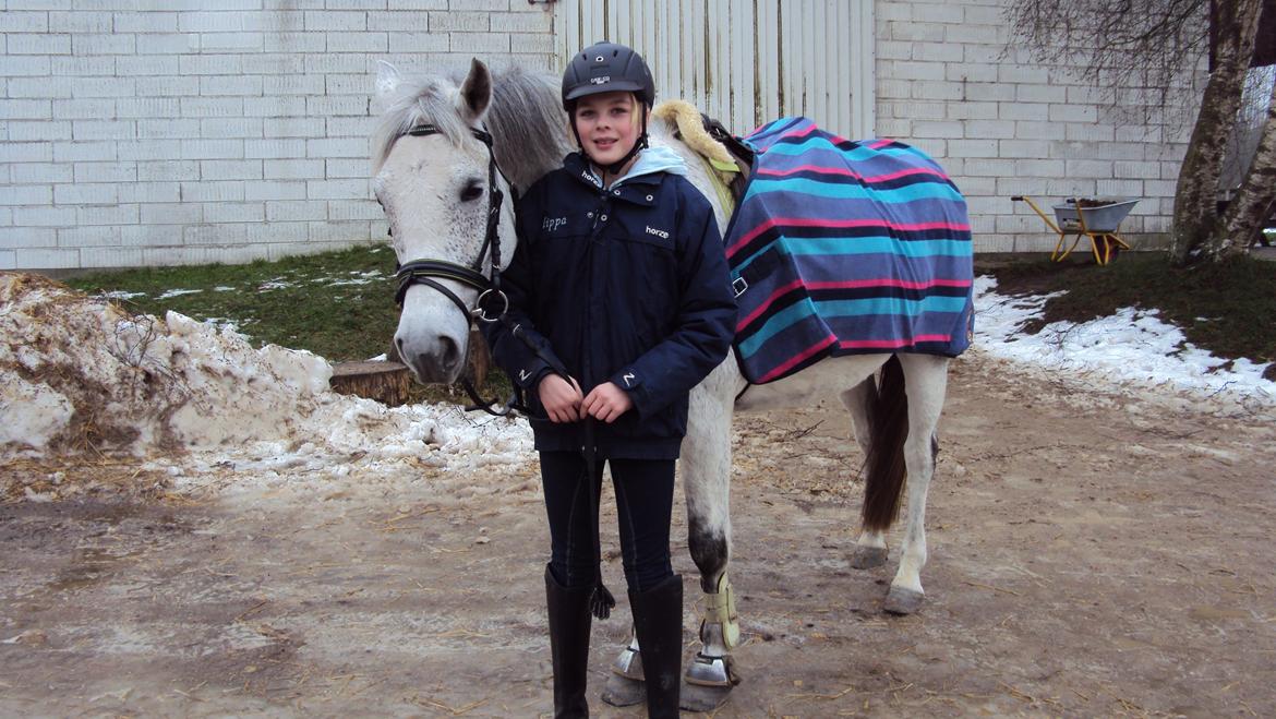 Anden særlig race Houdini<33 [min hest] - the bedst pony ind the world is houdini<333 billede 6