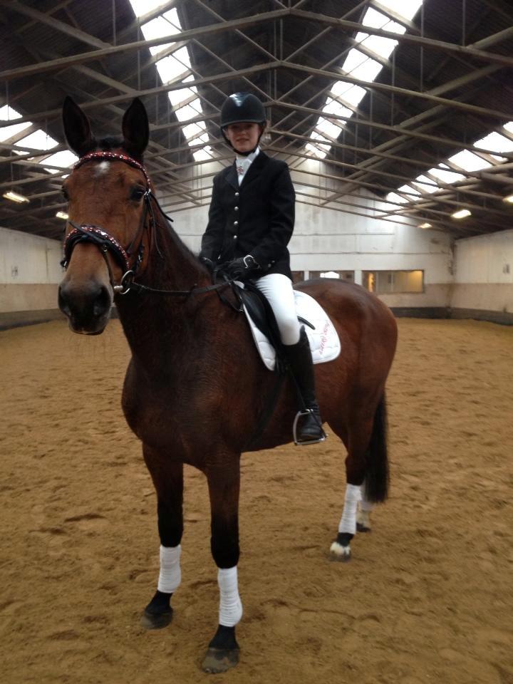 Dansk Varmblod Vestegaardens Leonora billede 3