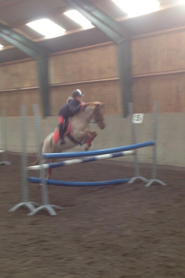 DSP BJERGETS FOX - Viljen til at vinde, giver evnen til at kunne.! billede 7