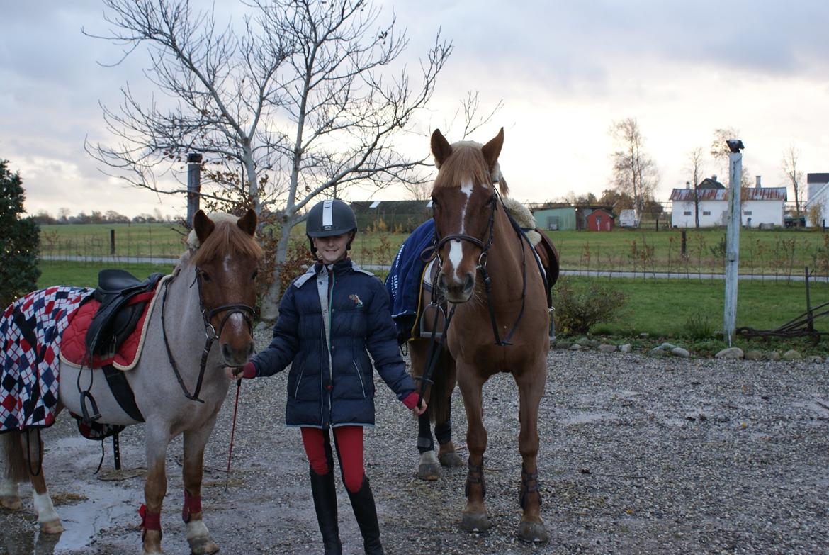 DSP BJERGETS FOX - Verdens sejeste stjerner..<3 billede 8