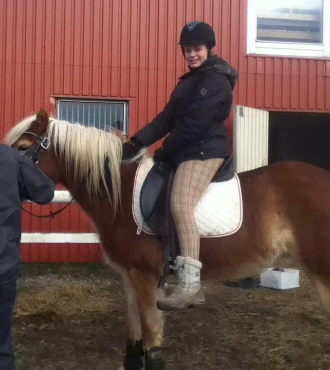 Haflinger Aicha (Ulstrup efterskole) - Aicha. Første gang jeg sidder oppe på hende, og hendes første gang også! :-) billede 2