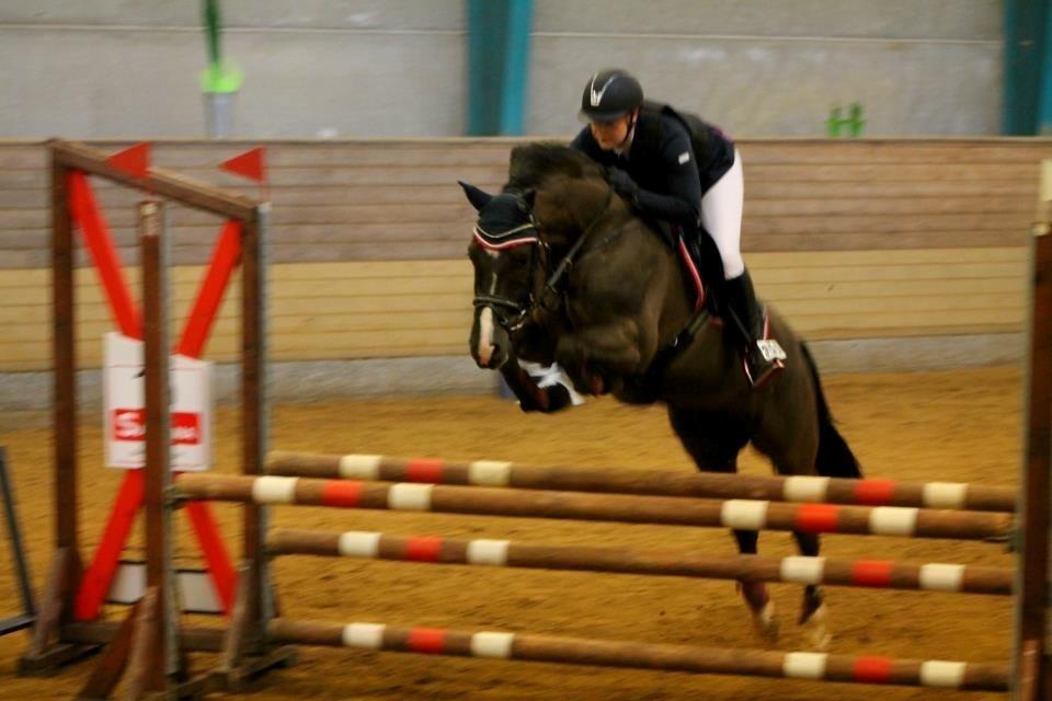 New Forest Vognmandsgården Tordenskjold - Første spring stævne med lille Tordenskjold.. billede 3