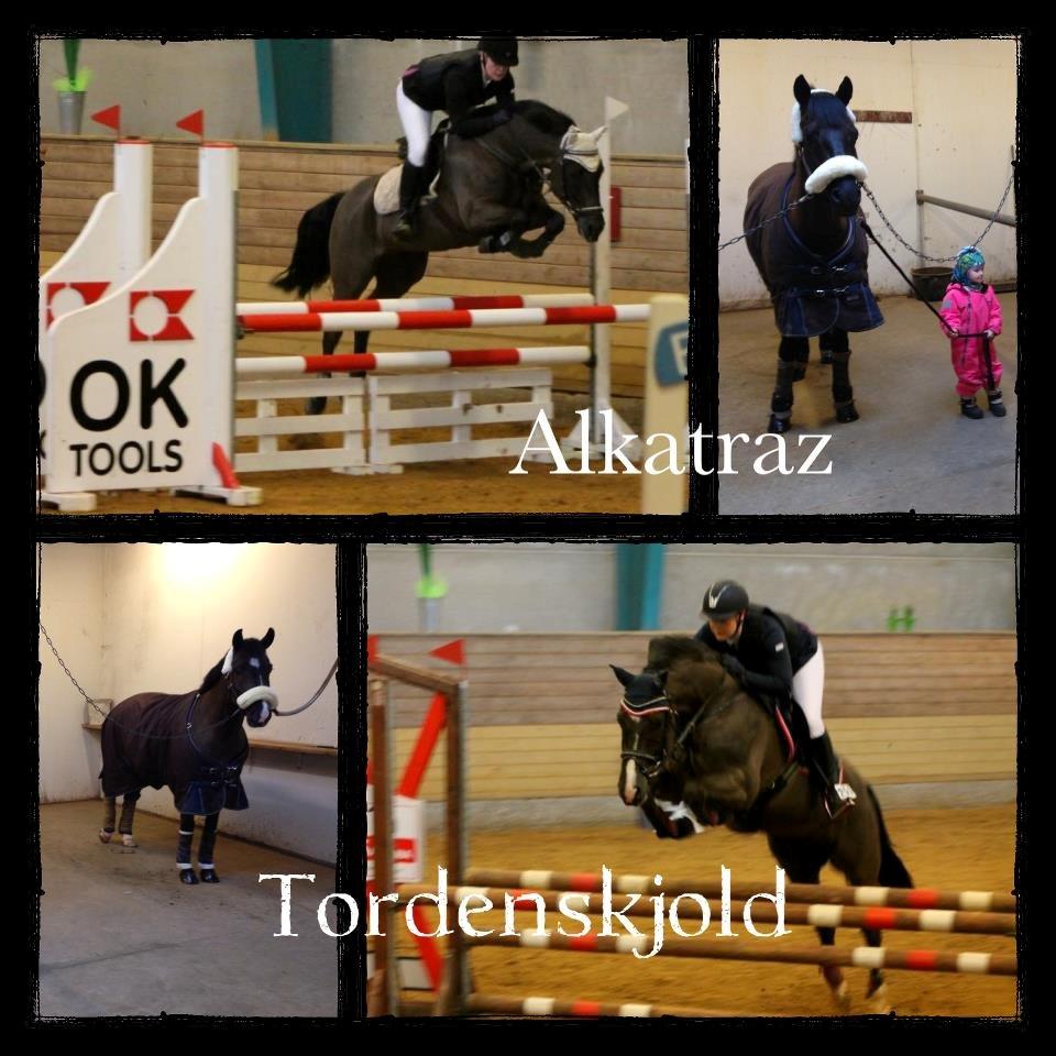 New Forest Vognmandsgården Tordenskjold billede 8