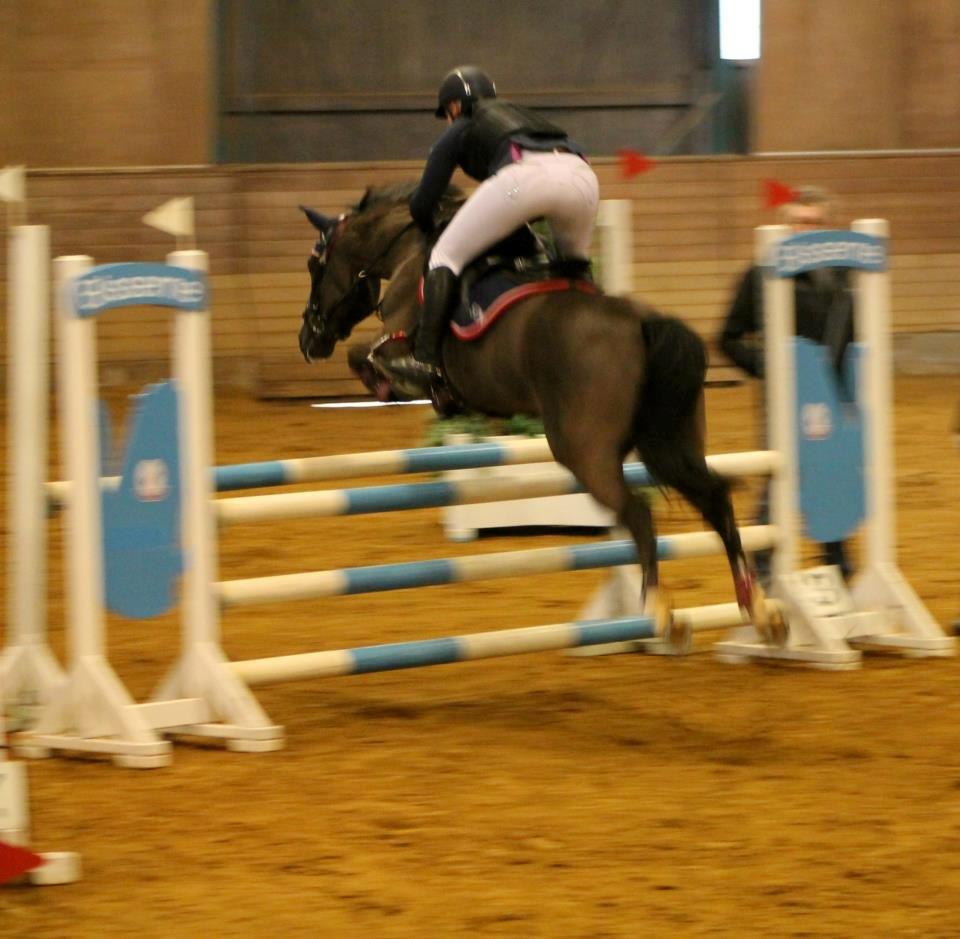 New Forest Vognmandsgården Tordenskjold billede 10