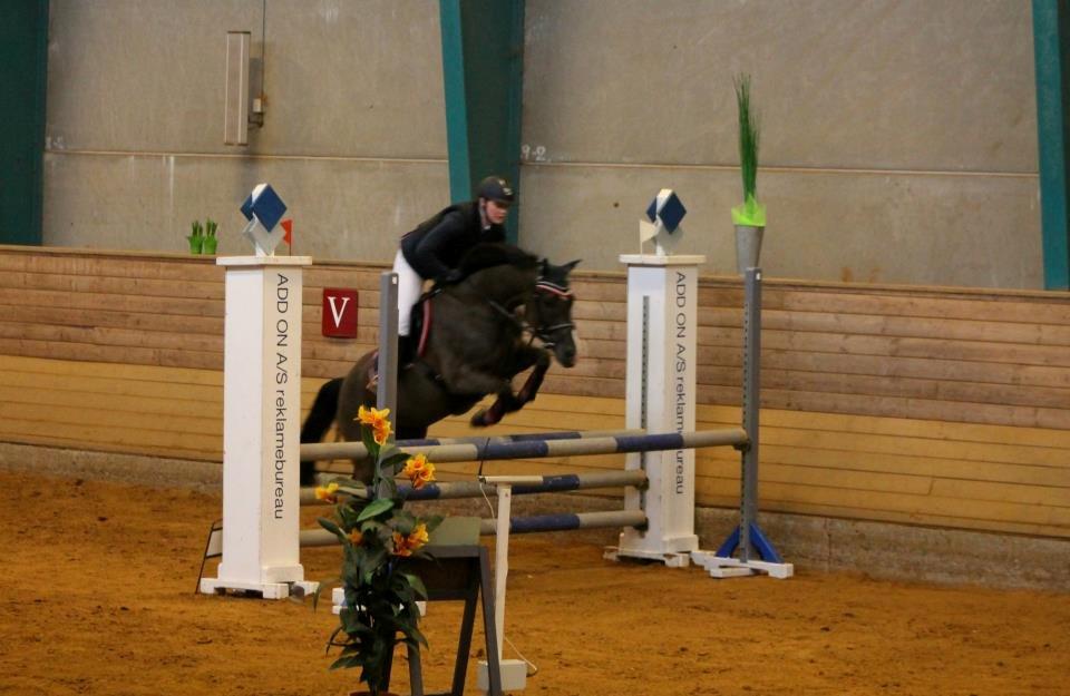 New Forest Vognmandsgården Tordenskjold billede 11