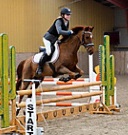 New Forest le philip - LA i Mbrk billede 14