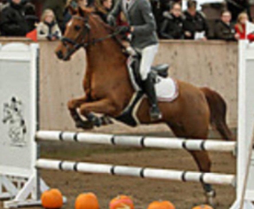 New Forest le philip - Halloweenstævne i AAGS billede 17