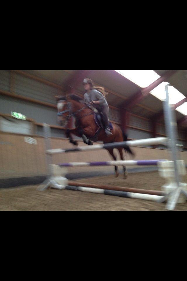 Anden særlig race Mistery Dancer (Misse)SOLGT billede 20