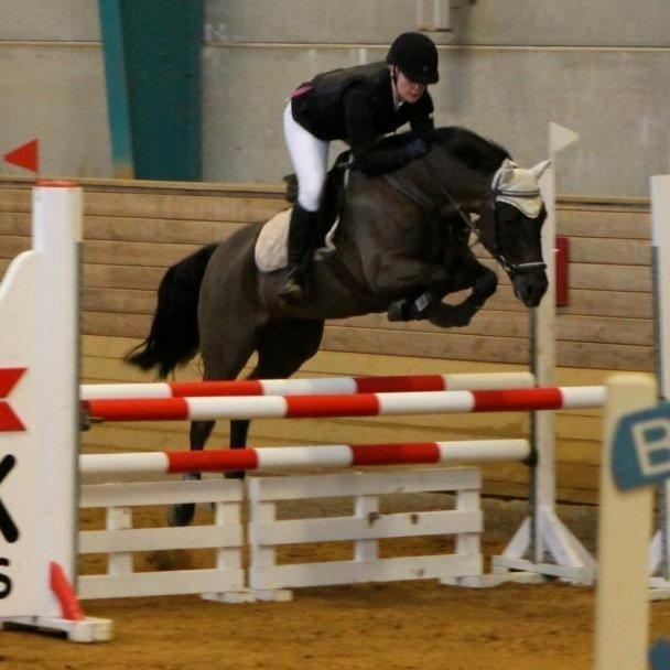 New Forest Vognmandsgården Alkatraz billede 10